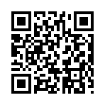 QR CODE 35