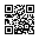 QR CODE 49