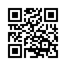 QR CODE 65