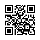 QR CODE 91