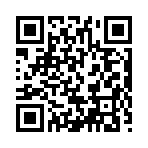 QR CODE 96