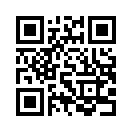QR CODE 80