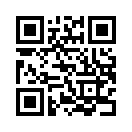 QR CODE 91