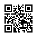 QR CODE 2389
