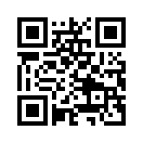 QR CODE 2433