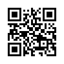 QR CODE 2911