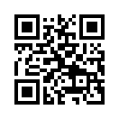 QR CODE 3225