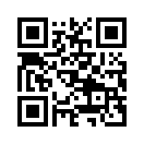 QR CODE 3295