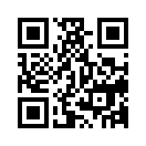 QR CODE 3838