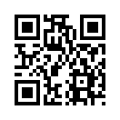 QR CODE 3875