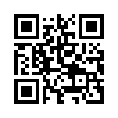 QR CODE 4011