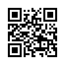 QR CODE 4342