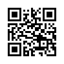 QR CODE 4509