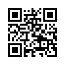 QR CODE 5393