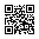 QR CODE 5538