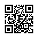 QR CODE 4509