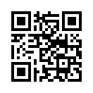 QR CODE 61