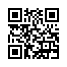 QR CODE 133