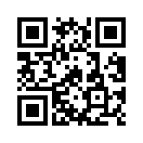 QR CODE 1335