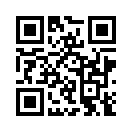 QR CODE 1371