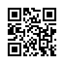 QR CODE 1381