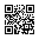 QR CODE 1393