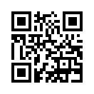 QR CODE 223