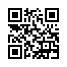 QR CODE 224