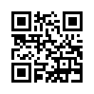 QR CODE 228