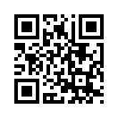 QR CODE 256