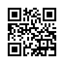 QR CODE 299