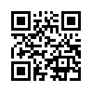 QR CODE 31