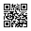QR CODE 316