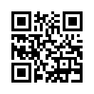 QR CODE 317