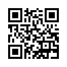 QR CODE 329