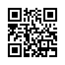 QR CODE 334