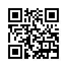 QR CODE 336