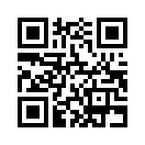 QR CODE 338