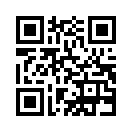 QR CODE 339