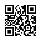 QR CODE 346