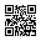 QR CODE 363