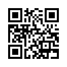 QR CODE 382
