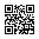 QR CODE 386