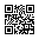 QR CODE 393