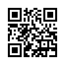 QR CODE 394