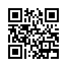 QR CODE 401