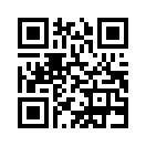 QR CODE 409