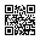 QR CODE 409
