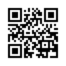 QR CODE 43