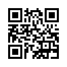 QR CODE 461